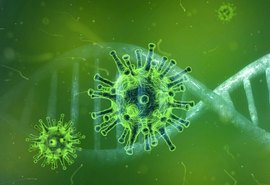 Estado registra 22 óbitos pela Covid-19 em 24 horas