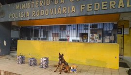 Polícia Rodoviária apreende mais de 50 kg de drogas na BR-101 com a ajuda de cão farejador