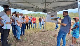 Cooperativa da agricultura familiar resgata cultura do Algodão em parceria com a Embrapa