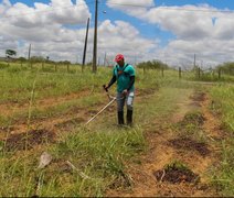 Pesquisa da Ufal fortalece a agricultura familiar em Arapiraca