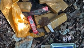 Quase 80 kg de maconha são apreendidos na Grota do Rafael, em Maceió