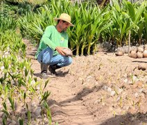 Coopaiba promove Dia do Campo com foco em inovação e agricultura familiar