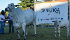 ACA mantém Expoalagoas Genética no calendário de 2021