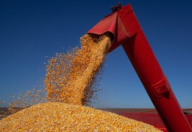 IBGE projeta safra recorde de 347,4 milhões de toneladas para 2026