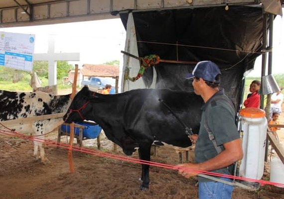 Super Torneio Leiteiro vai consagrar  os melhores da agricultura familiar