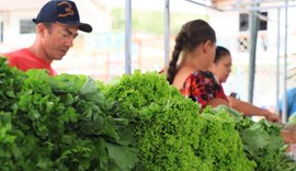 Feiras da agricultura familiar e de plantas ornamentais movimentam Viçosa