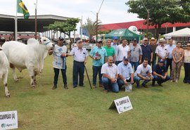 Raça Nelore ganha destaque com Exposição Regional durante a 72ª Expoagro Alagoas