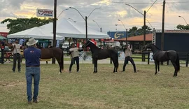 Expoalagoas Genética amplia negócios e reforça força do agro em Alagoas