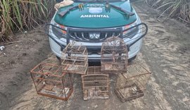PM-AL resgata mais de 250 animais silvestres e apreende oito armas em ações