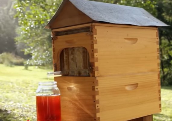 Flow Hive revoluciona apicultura com coleta de mel sem estresse