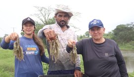 Cadeia produtiva do camarão avança em Alagoas com apoio do Senar