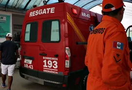 Serpente é encontrada em terreno na rodovia AL-220, em Arapiraca