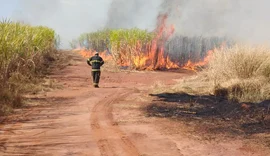 Usina Santa Clotilde promove evento sobre prevenção e combate a incêndios criminosos em canaviais