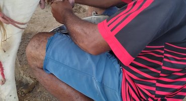 Contratações da agricultura familiar crescem 12,4% em 2025 e somam R$ 10,7 bi