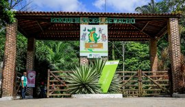 Parque Municipal realiza atividades para mais de 200 crianças nesta terça-feira (26)