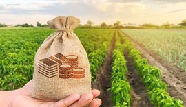Balança comercial do agro registra recorde