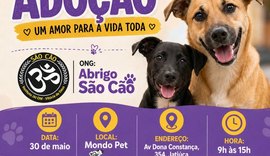 Abrigo São Cão promove feira de adoção para cães na Jatiúca