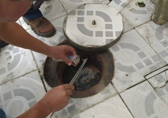 Saúde orienta população sobre prevenção de picadas de escorpião