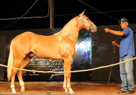 Tudo pronto para o 13º Vaquejada e Trabalho