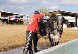 37ª Expobacia Leiteira vai reunir mais de mil animais no interior do estado