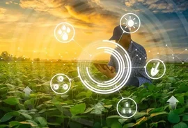 AgroNordeste: Pequenos produtores rurais ampliam participação nas compras públicas