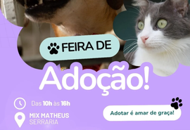 Feira de adoção incentiva novo lar para cães e gatos em Maceió