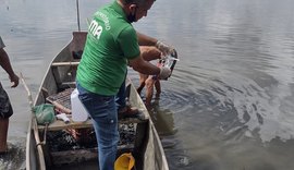 Ministério Público Federal requer abertura de inquérito para investigar mortandade de peixes no Flexal