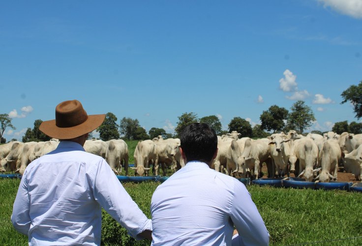 Valor Bruto da Produção Agropecuária deve atingir R$ 1,39 tri em 2026