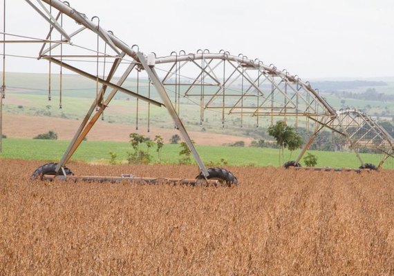 Safra deste ano deve ser 5,7% menor, diz IBGE