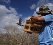 Fiscalização Preventiva Integrada realizou sua primeira soltura de 180 aves