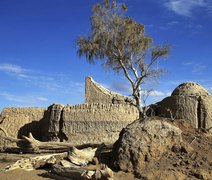 Restos mortais de crianças do 5º milênio a.C. são escavados no Irã