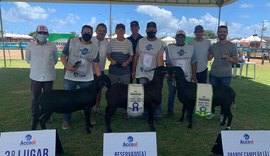 Expoagro Alagoas premia os grandes campeões da raça santa inês