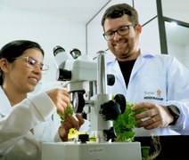 Polo Agroalimentar de Arapiraca fortalece agricultura familiar com serviços laboratoriais e pesquisas inovadoras