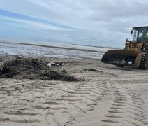 Prefeitura de Maceió recolhe mais de 600 toneladas de lixo na Praia da Avenida