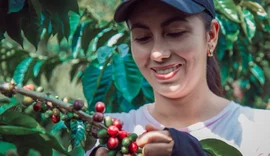 Cafeicultores de cooperativa mineira são os primeiros do mundo a receber selo de baixo carbono