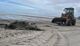 Prefeitura de Maceió recolhe mais de 600 toneladas de lixo na Praia da Avenida