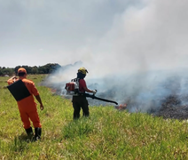 Bombeiros combatem incêndio em imóveis em São Miguel dos Milagres