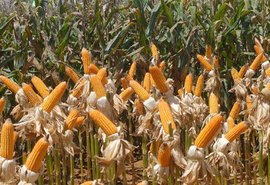 Superávit da balança comercial cai 22,4% em janeiro