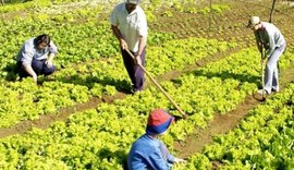 Governador celebra contratos de Chamada Pública da Agricultura Familiar nesta quinta-feira, na sede da AMA