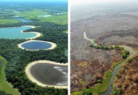 Chegada da chuva diminui queimadas no Pantanal