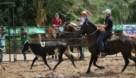 Saiba o que é Ranch Sorting , prova de cavalaria que começa nesta sexta na Expoagro-AL