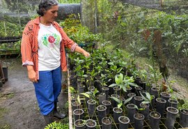 Agricultura de baixo carbono se transforma em realidade no campo alagoano