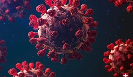 Alagoas registrou um óbito por Covid-19 após um mês