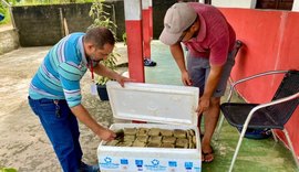 Agricultores de Penedo doam alimentos para desabrigados pelas chuvas