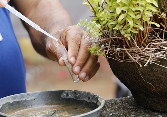 Prefeitura de São Sebastião realiza mutirão de prevenção ao Aedes Aegypti