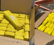 Tabletes de maconha com etiqueta de Salmo 91 são apreendidos no Agreste de Alagoas