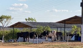 Parque Mair Amaral recebe melhorias para a 40ª Expo Bacia Leiteira