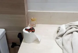 Morador se assusta ao encontrar cobra coral no próprio banheiro