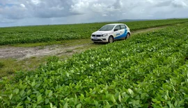 Calendário de semeadura da soja é aberto em Alagoas