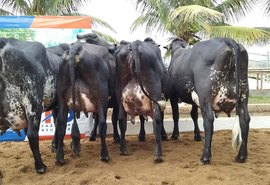 Expo Bacia Leiteira conta com programação diversificada